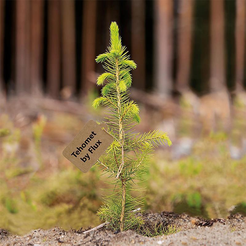 Nu klimatinvesterar vi för våra trästolpar!